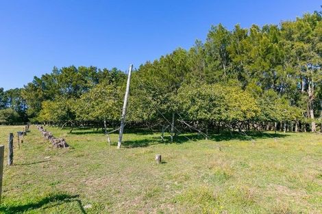 Photo of property in 276 Tikorangi Road, Tikorangi, Waitara, 4383