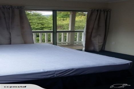 Photo of property in 63 Opoho Road, North East Valley, Dunedin, 9010