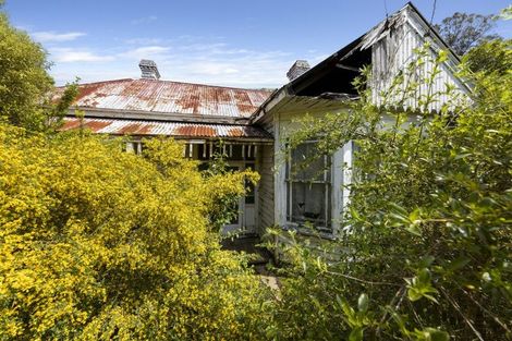 Photo of property in 17 De Lacy Street, Maia, Dunedin, 9022