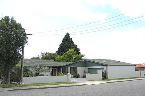 Photo of property in 83 Litchfield Street, Redwoodtown, Blenheim, 7201