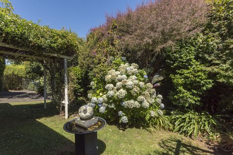 Photo of property in 56 Grange Road, Otumoetai, Tauranga, 3110
