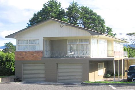 Photo of property in 258 Great North Road, Henderson, Auckland, 0612