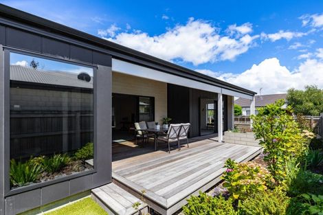 Photo of property in 37a Parker Street, Mayfield, Blenheim, 7201