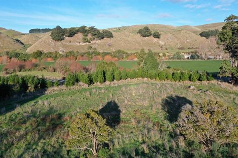 Photo of property in 336 Makomako Road, Pahiatua, 4983