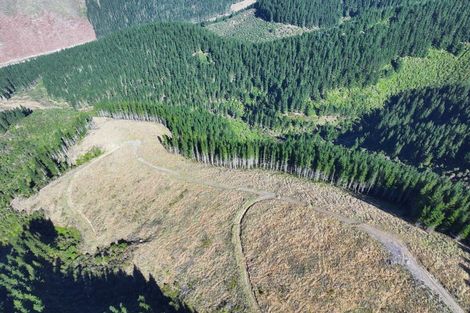 Photo of property in 49 Te Moana Road, Waikanae Beach, Waikanae, 5036