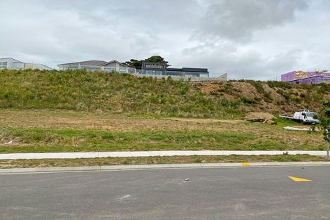 Photo of property in 55 Ken Douglas Drive, Aotea, Porirua, 5024