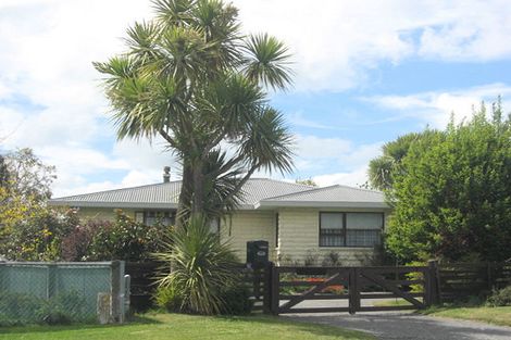 Photo of property in 29 Rata Street, Oxford, 7430