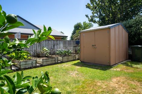 Photo of property in 64 Cowley Drive, Leamington, Cambridge, 3432