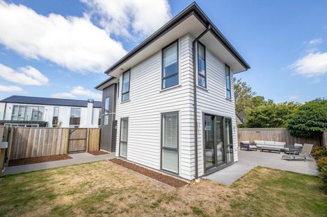 Photo of property in 36b Westminster Street, St Albans, Christchurch, 8014