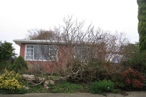 Photo of property in 47 Benmore Avenue, Cloverlea, Palmerston North, 4412