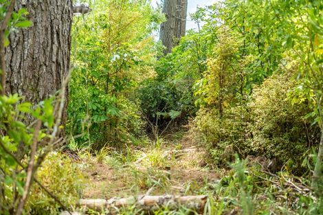 Photo of property in 220 Blue Mountains Road, Blue Mountains, Upper Hutt, 5371