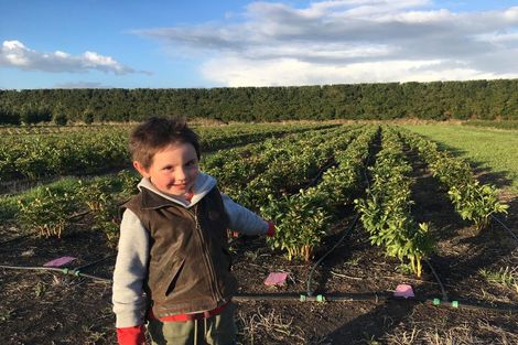 Photo of property in 63 Coopers Road, Leeston, 7682