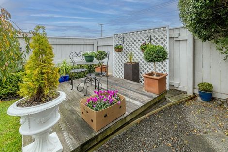 Photo of property in 42 York Street, Levin, 5510