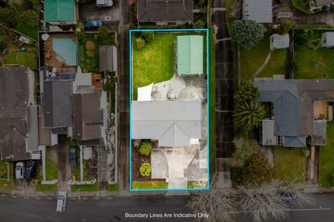 Photo of property in 20 Matuhi Rise, Henderson, Auckland, 0612