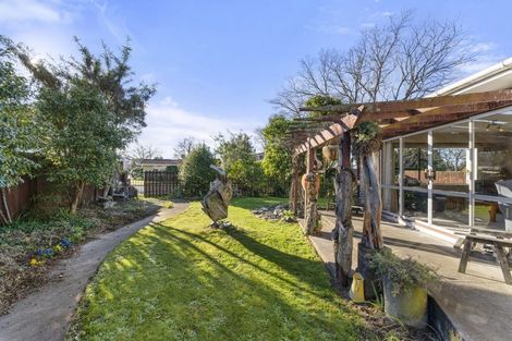 Photo of property in 51 Leefield Street, Blenheim, 7201