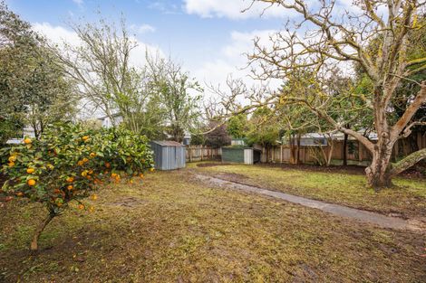 Photo of property in 19 Epsom Road, Hokowhitu, Palmerston North, 4410