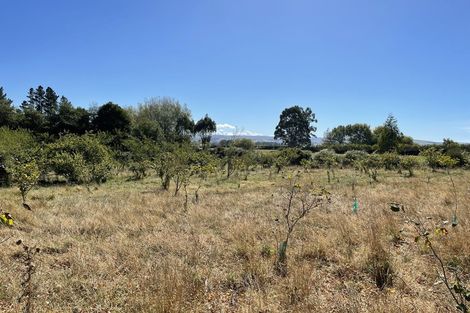 Photo of property in 37 Knoll Street, Milton, 9292