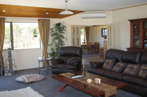 Photo of property in 20 Old Golf Course Road, Bridge Hill, Alexandra, 9320