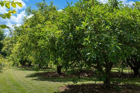 Photo of property in 226 Snodgrass Road, Te Puna, Tauranga, 3174