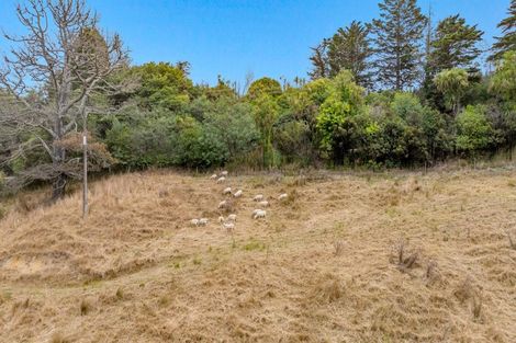 Photo of property in 592 Kanohi Road, Kaukapakapa, 0873