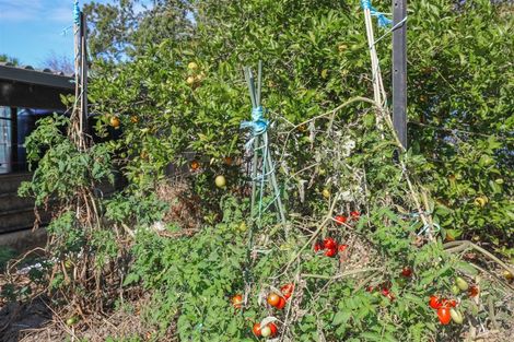 Photo of property in 689 Glen Murray Road, Rangiriri, Huntly, 3772