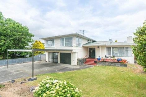 Photo of property in 446 Ruahine Street, Terrace End, Palmerston North, 4410
