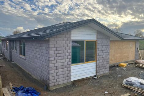 Photo of property in 66 Overdale Street, Putaruru, 3411