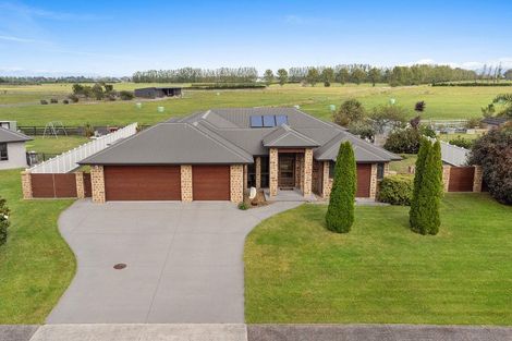 Photo of property in 19 Ridgeview Drive, Te Aroha, 3392