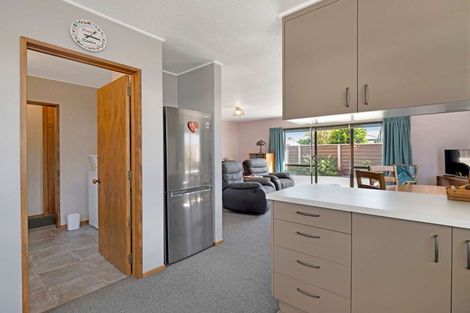 Photo of property in 91 Chalmers Avenue, Hampstead, Ashburton, 7700