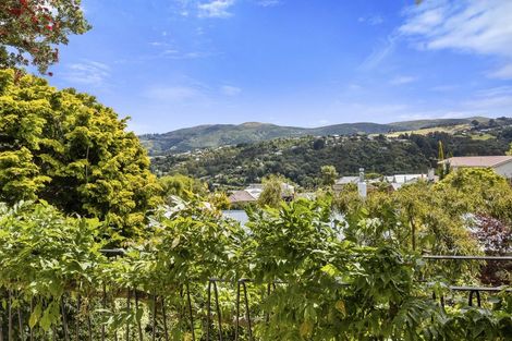 Photo of property in 47 Signal Hill Road, Opoho, Dunedin, 9010