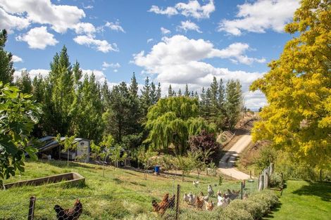 Photo of property in 233 Letts Gully Road, Letts Gully, Alexandra, 9393