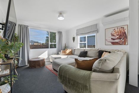 Photo of property in 108 Brecon Road, Stratford, 4332