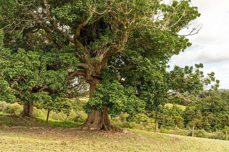 Photo of property in 75 Kohinui Road, Parua Bay, 0192