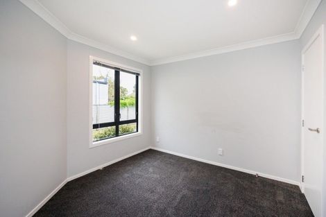 Photo of property in 40a Manawatu Street, Hokowhitu, Palmerston North, 4410