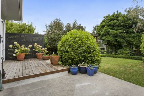 Photo of property in 85 Moore Street, Leamington, Cambridge, 3432