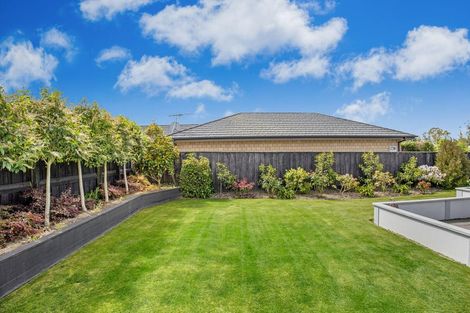 Photo of property in 7 Brinsworth Avenue, West Melton, 7618