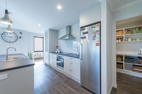 Photo of property in 3 Youngberry Drive, Richmond, 7020