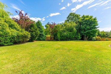 Photo of property in 8 London Street, Hampden, 9410