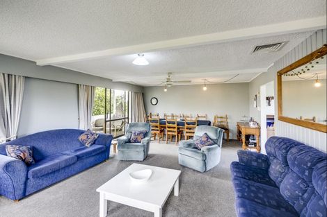 Photo of property in 17 Leeds Place, Tamatea, Napier, 4112