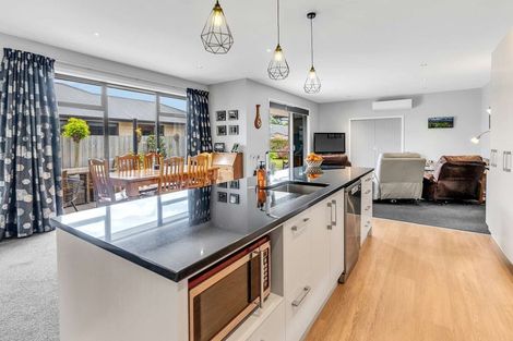 Photo of property in 4 Orchard Grove, Netherby, Ashburton, 7700