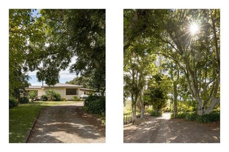 Photo of property in 473 Otara Road, Otara, Opotiki, 3197