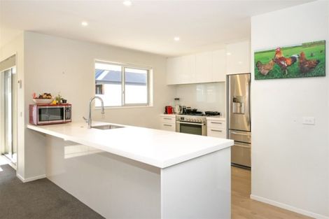 Photo of property in 15c Brewer Street, Blenheim, 7201