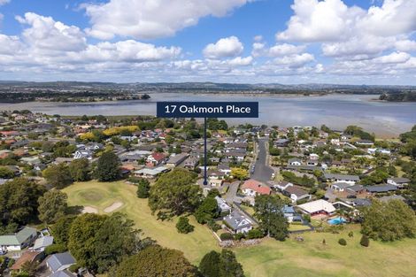 Photo of property in 17 Oakmont Place, Wattle Downs, Auckland, 2103