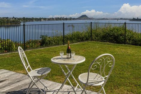 Photo of property in 43 Vine Avenue, Maungatapu, Tauranga, 3112