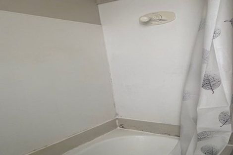 Photo of property in 3164 Great North Road, New Lynn, Auckland, 0600