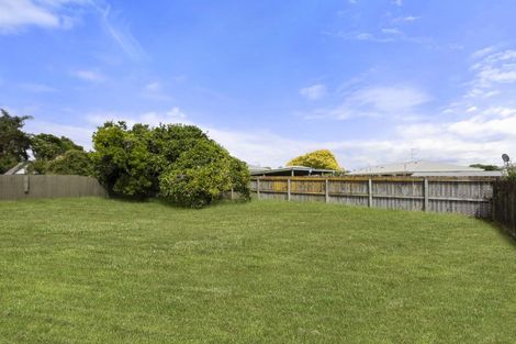 Photo of property in 96 Edinburgh Street, Pukekohe, 2120