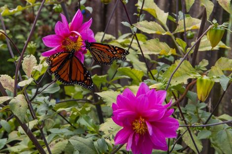 Photo of property in 579 Belk Road, Omanawa, Tauranga, 3171