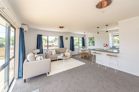 Photo of property in 22 Marumaru Street, Marton, 4710