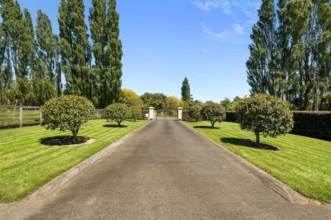 Photo of property in 4 Lewis Lane, Coatesville, Albany, 0793