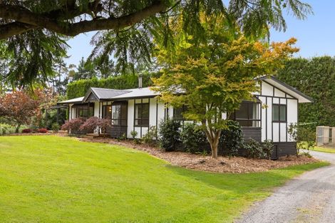 Photo of property in 527 Omanawa Road, Omanawa, Tauranga, 3171